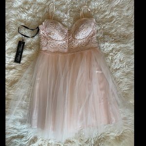 Blush Tulle Dress